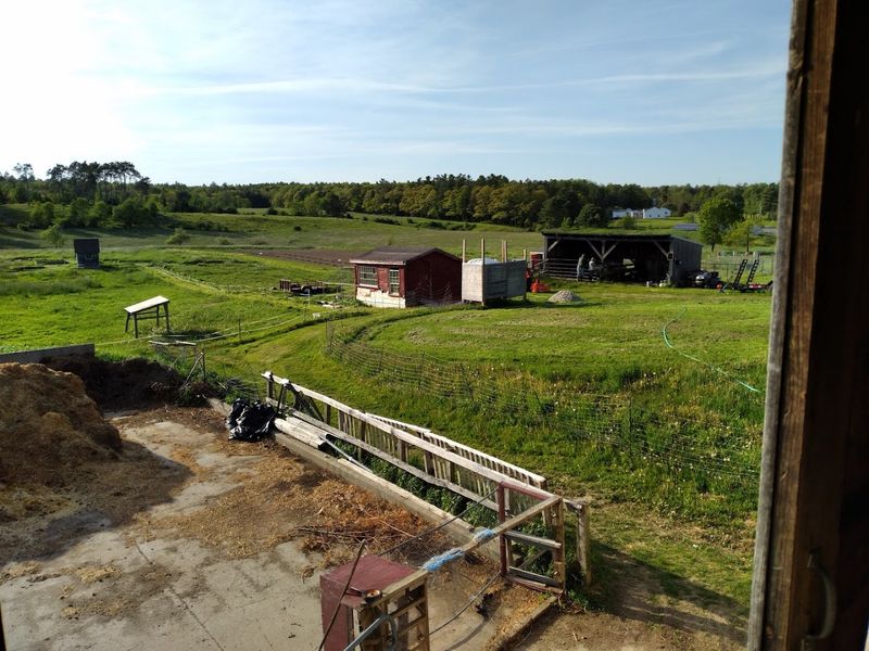 North Carolina Farms Where Egg Collecting Feels Like An Adventure - Decor Hint The Morris Farm, Weaverville