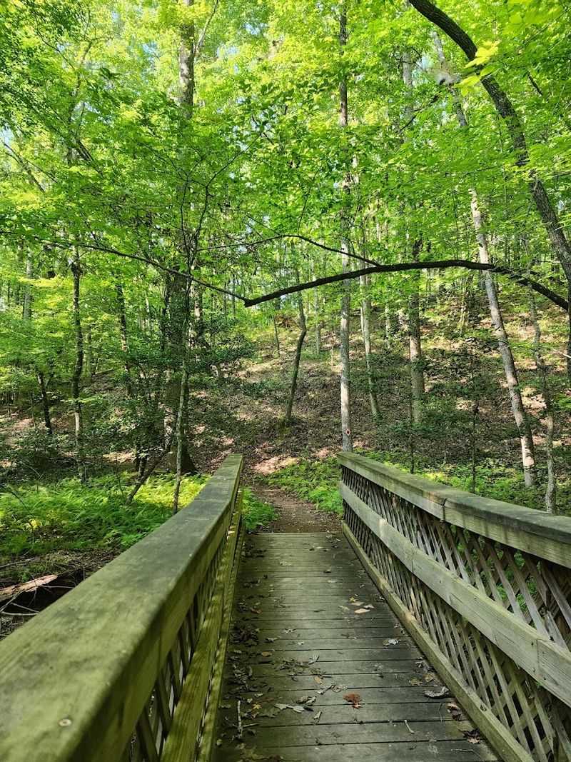 Dedicated Equestrian Trails for Horseback Riders