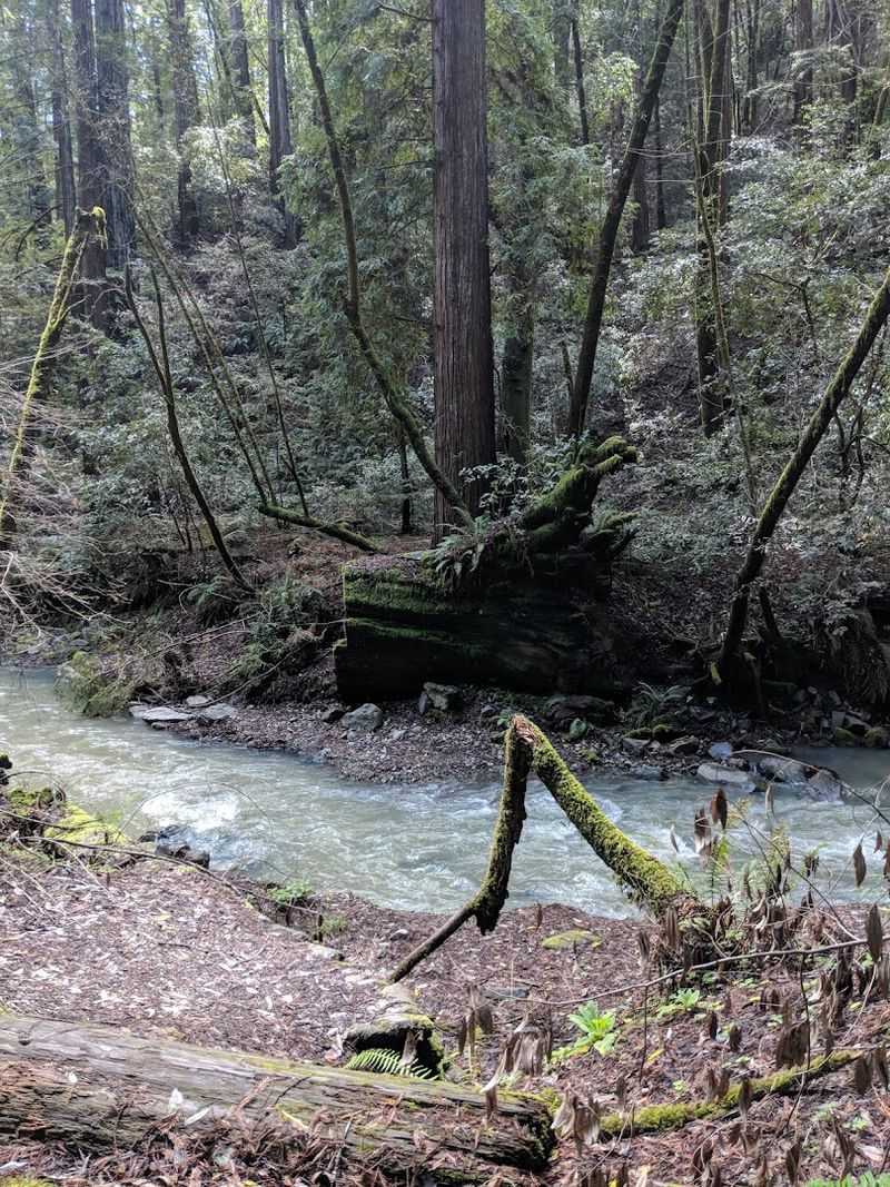 The Reserve Receives About 55 Inches Of Rainfall Annually