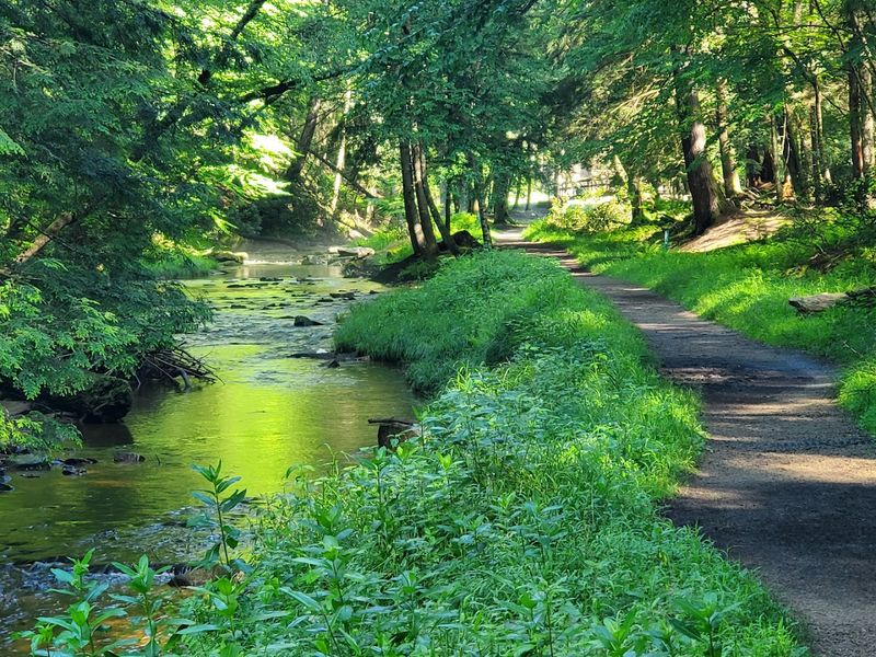 Cook Forest State Park
