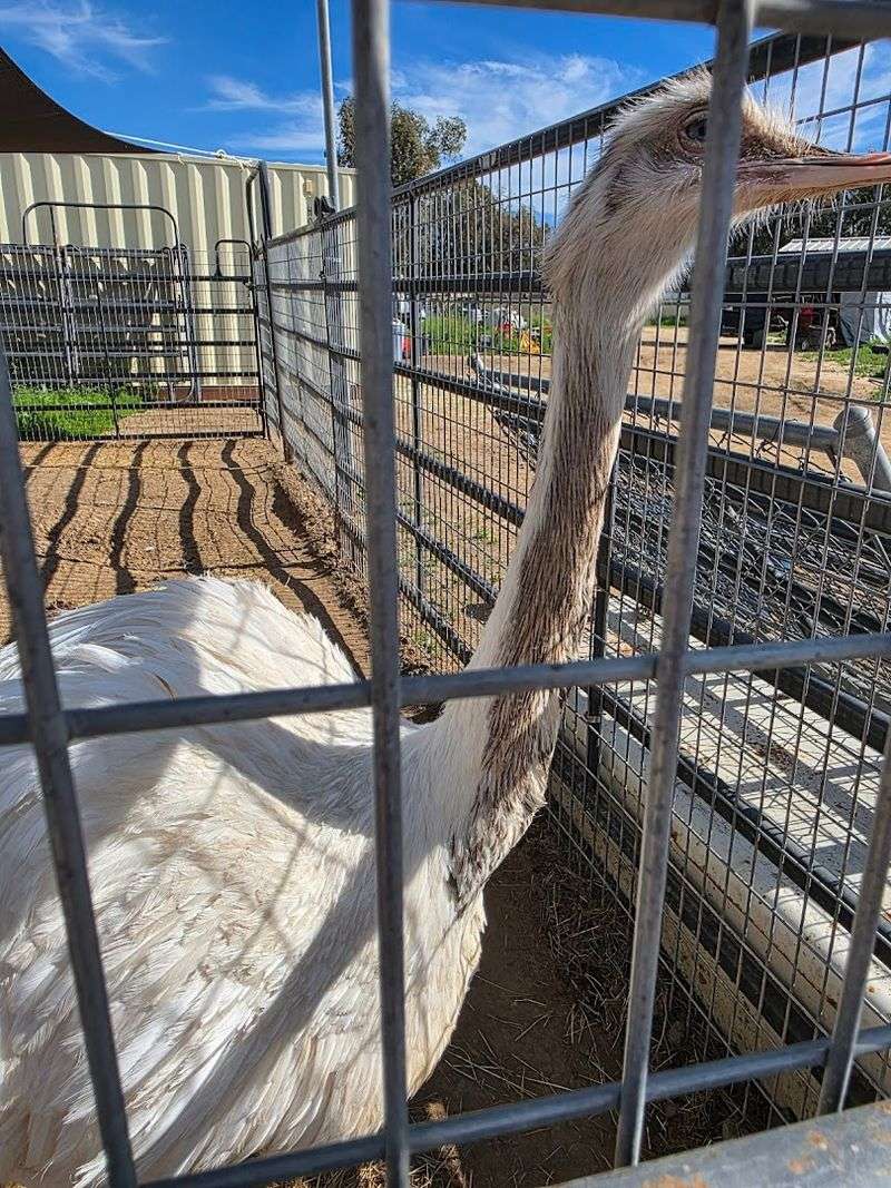 Why Visitors Return Again And Again