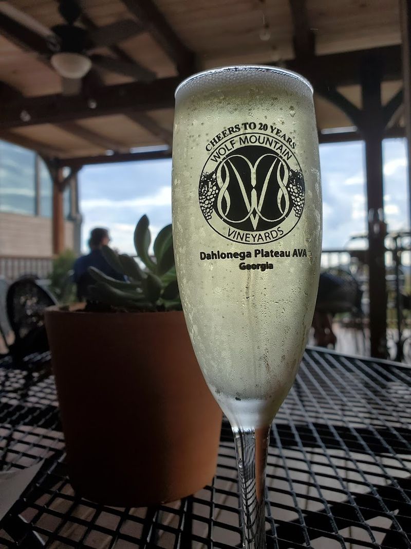 A Diverse Wine Selection for Every Kind of Palate