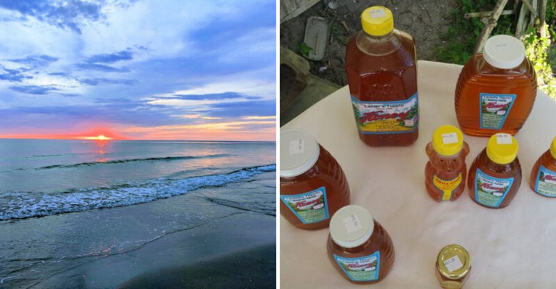 Every Spring, Florida’s Forgotten Coast Hosts A Festival Most People Miss