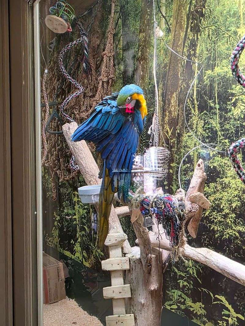 A Hidden Gem For Eco-Conscious Shoppers And Nature Lovers