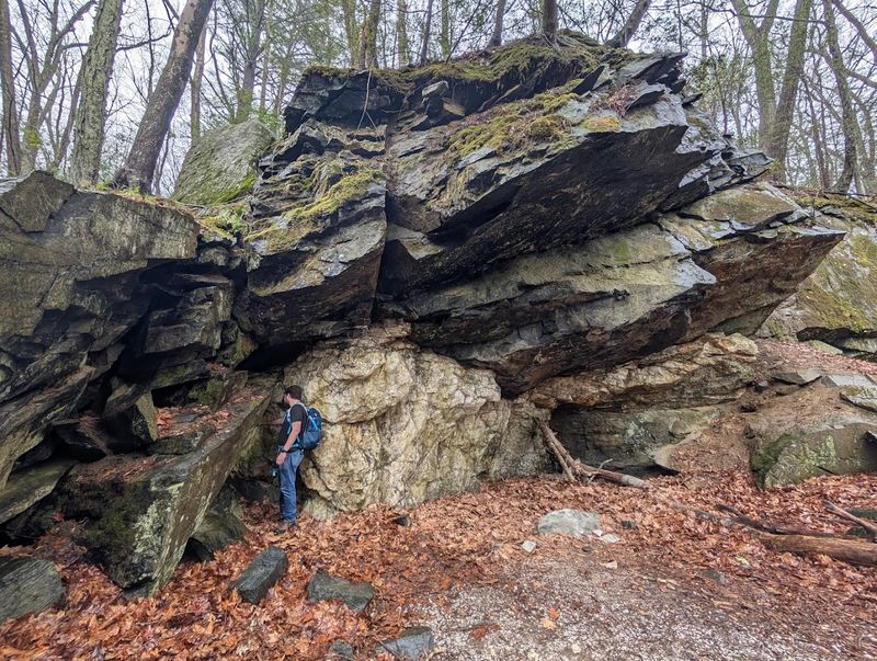 A Quick Introduction To Hidden Valley Preserve's Charm