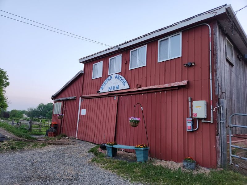 Why Nature Lovers Flock To Winter Brook Farm