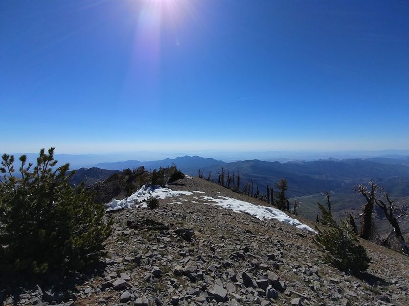 Spring Mountains National Recreation Area