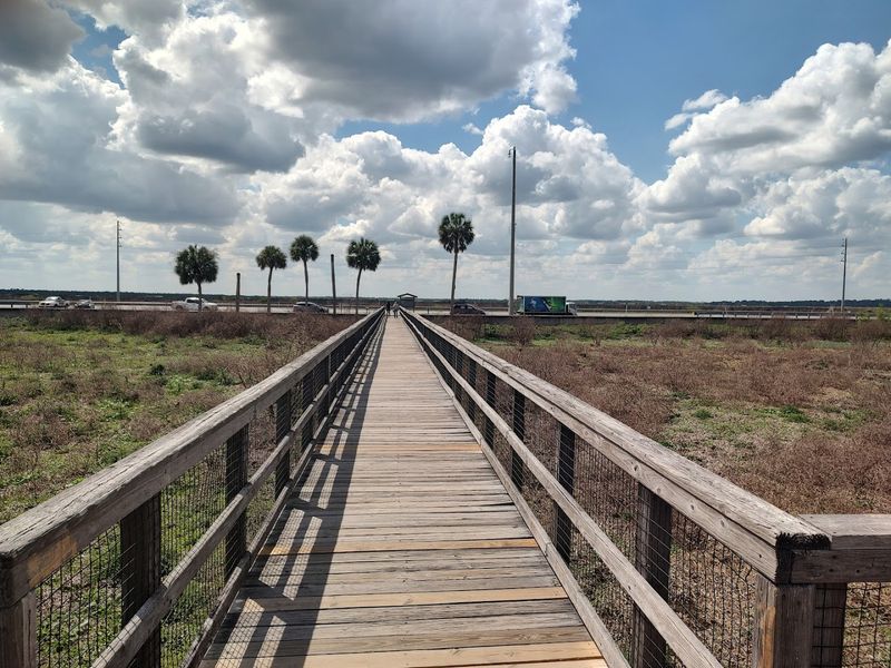 These 10 Tranquil Florida Spots Are Still Under The Radar - Decor Hint Paynes Prairie Preserve State Park, Alachua County