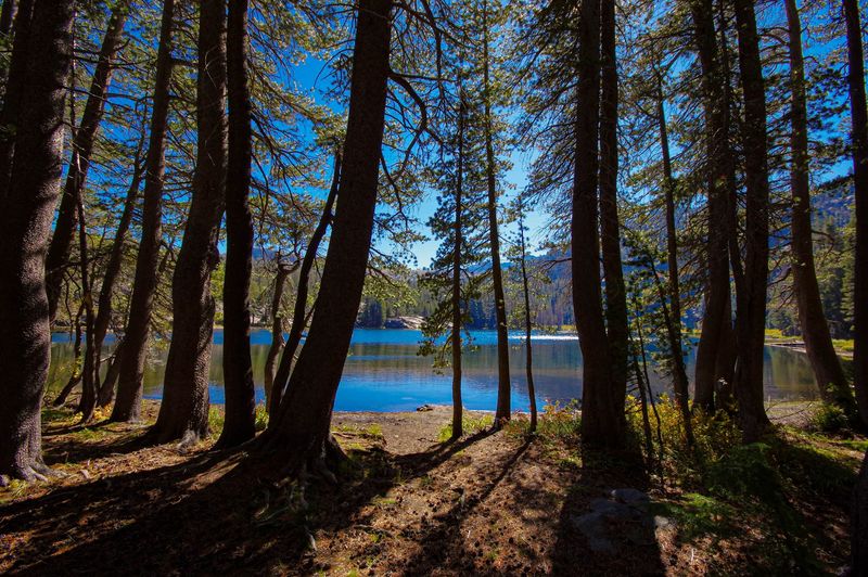 Kirkwood Lake Campground