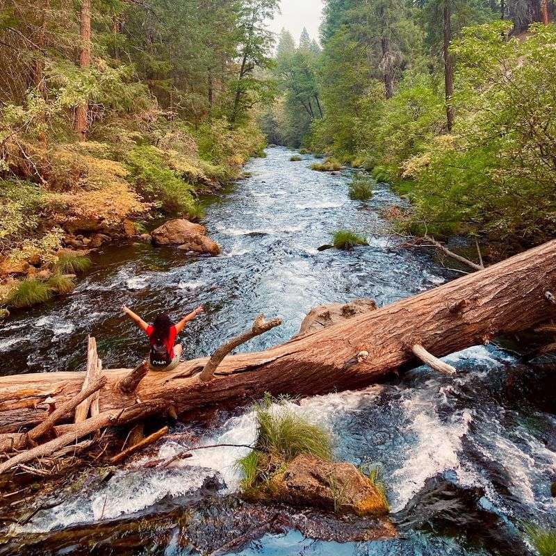 Pacific Crest Trail Passage