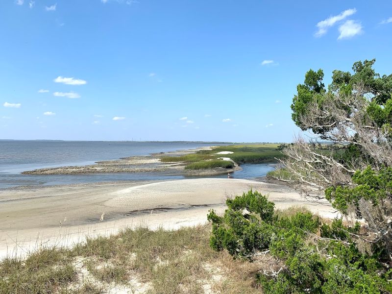 Wildlife Viewing at St. Andrews Beach Park