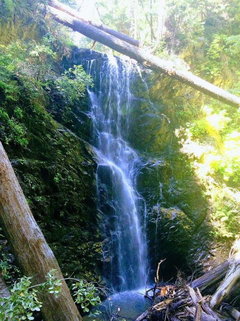 Berry Creek Falls Trail, Big Basin Redwoods State Park, Boulder Creek