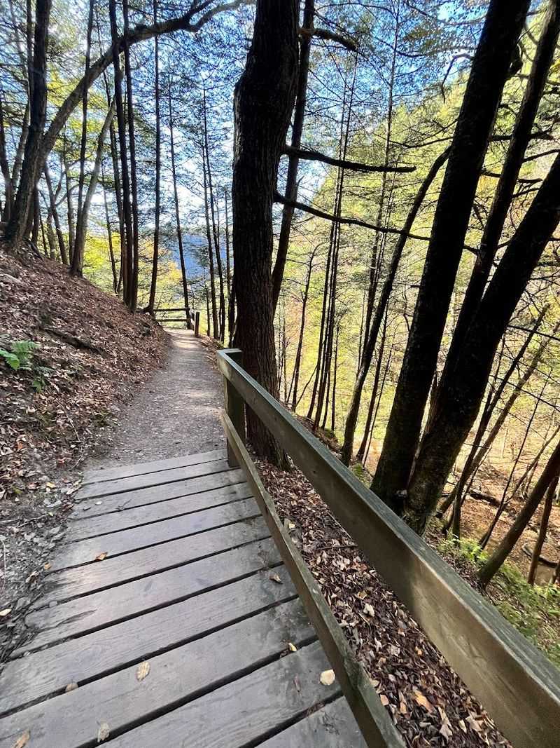 March - Pine Creek Gorge, Wellsboro