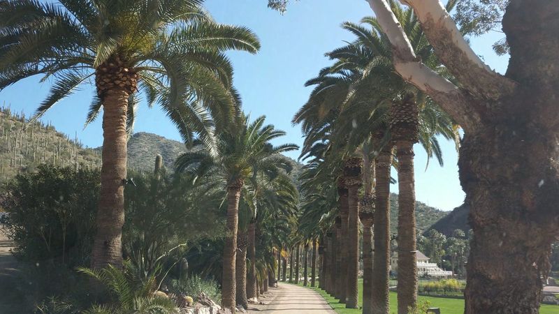 Decades Of Silent Visitors