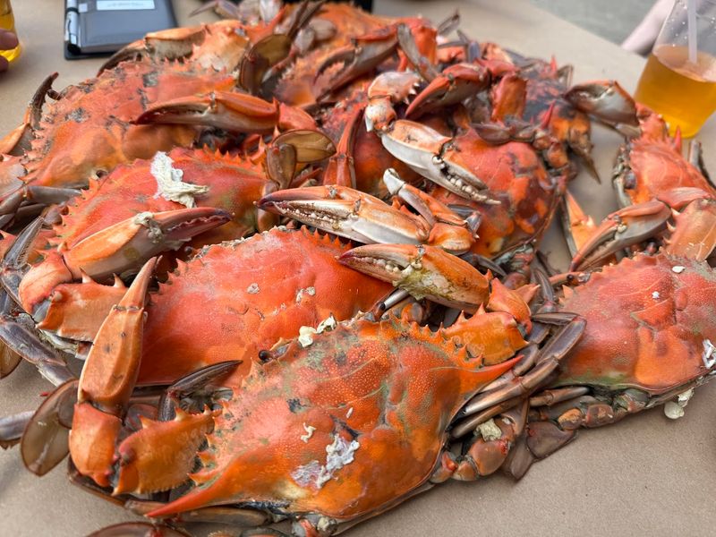 L.P. Steamers