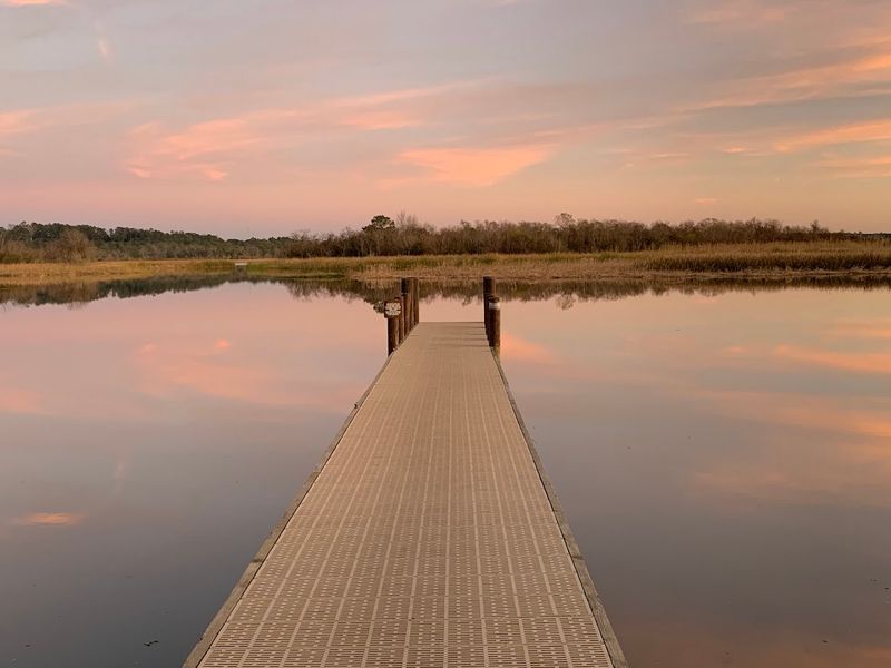 Wildlife That Shows Up Without Being Asked