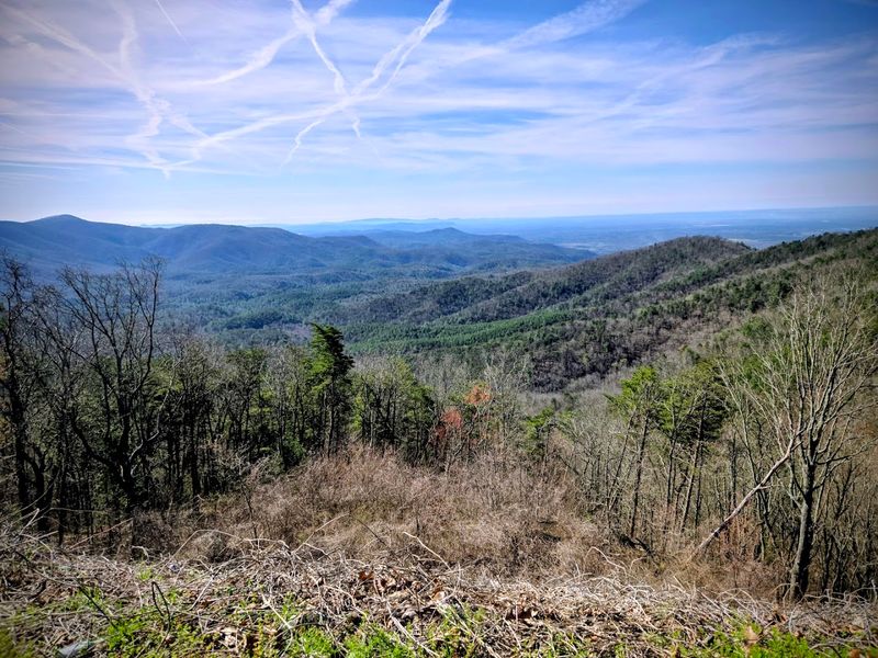 Geocaching Adventures Across the Park Landscape