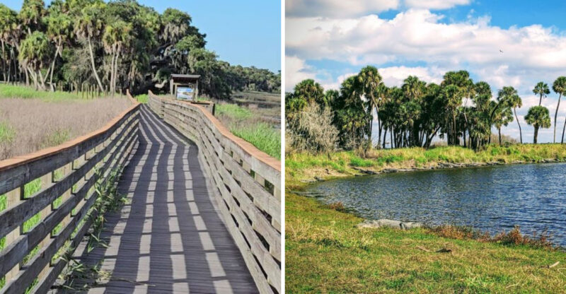 Florida Is Hiding A Treetop Walkway You’ll Want To See For Yourself
