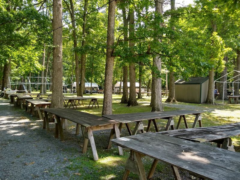 A Relaxed Setting That Feels Easy To Explore