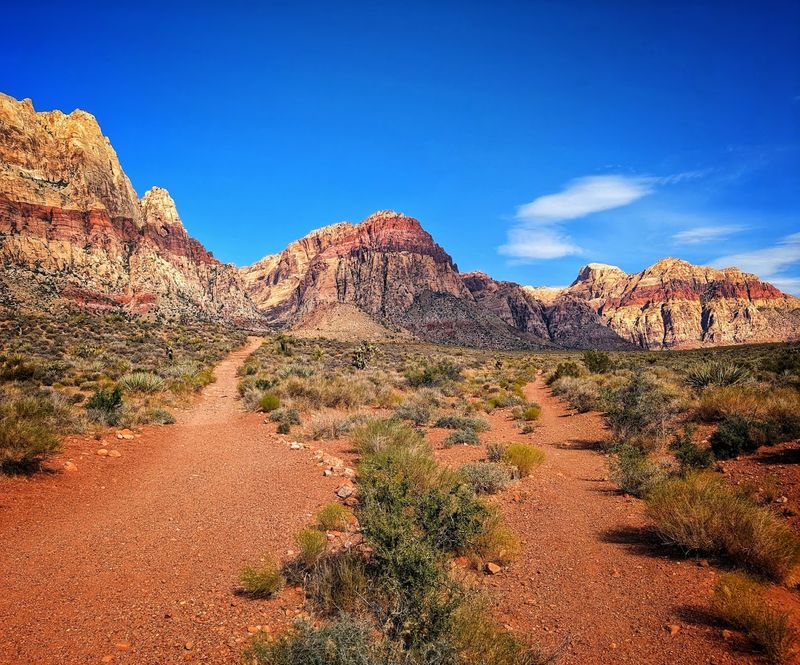 Desert Escapes Nearby