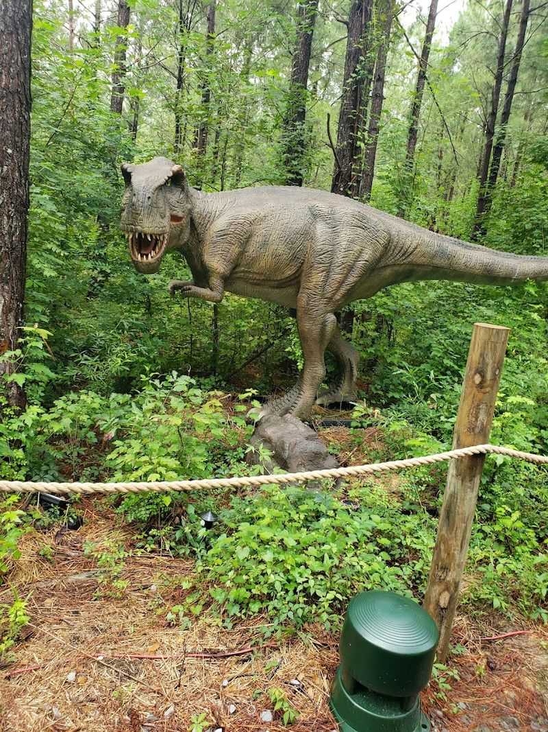 Dino Rides And Add-On Activities