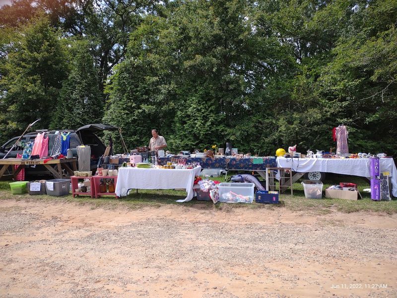 Pet-Friendly Environment