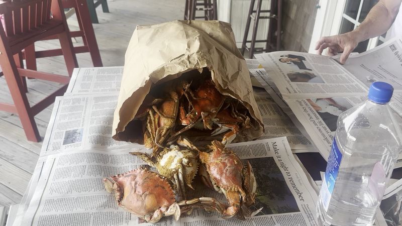 Steamed And Ready To Go