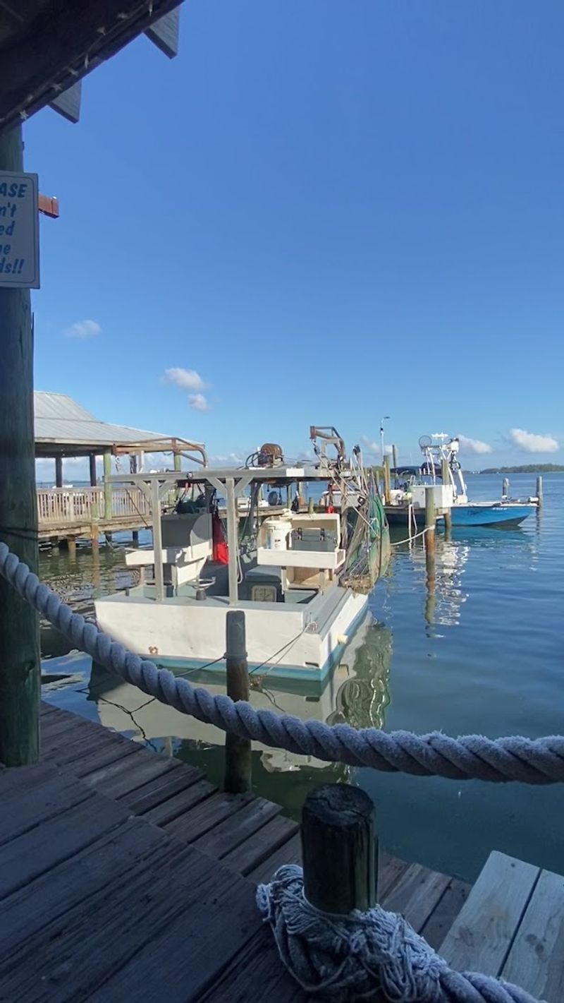 The Waterfront Setting