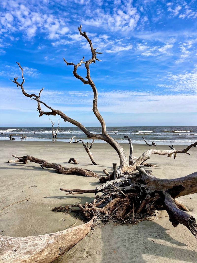 Capers Island Heritage Preserve