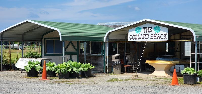 Louder Seasoning, Same Foundation