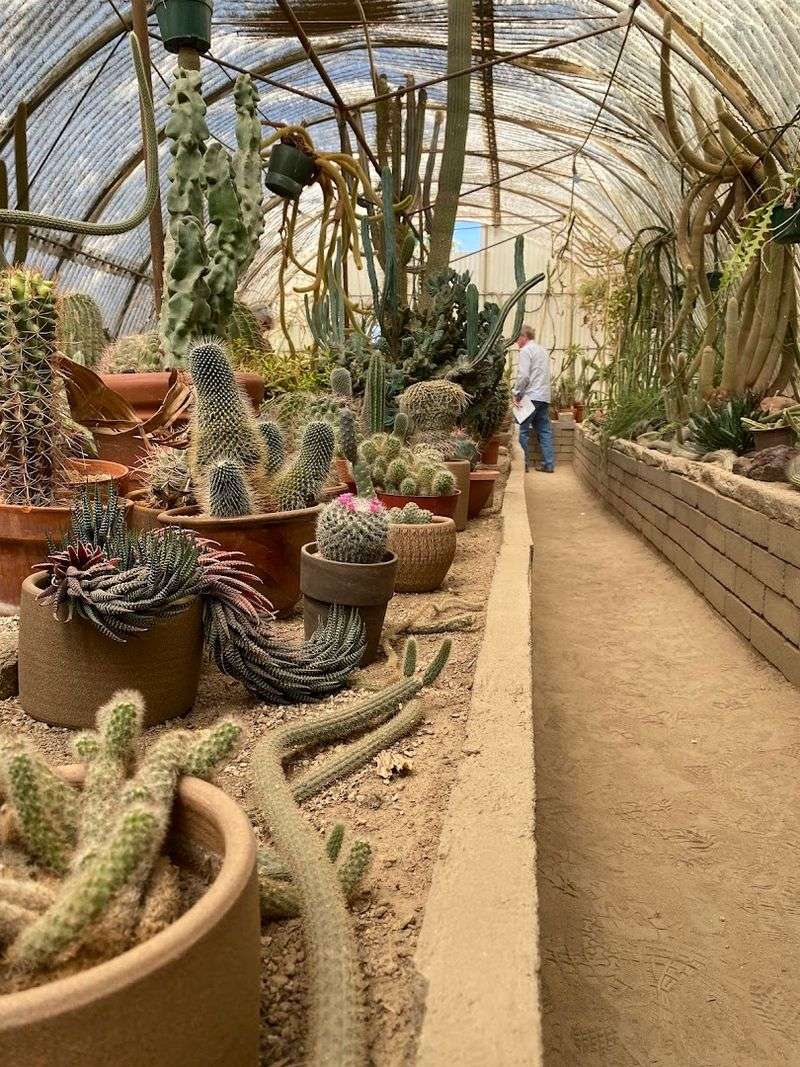 Moorten Botanical Garden, Palm Springs