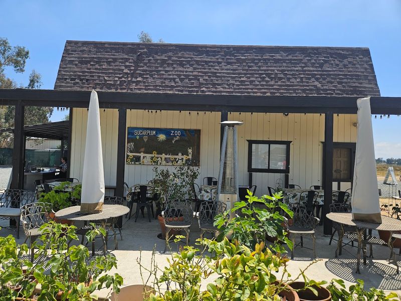 Essential Tips For A Smooth Trip