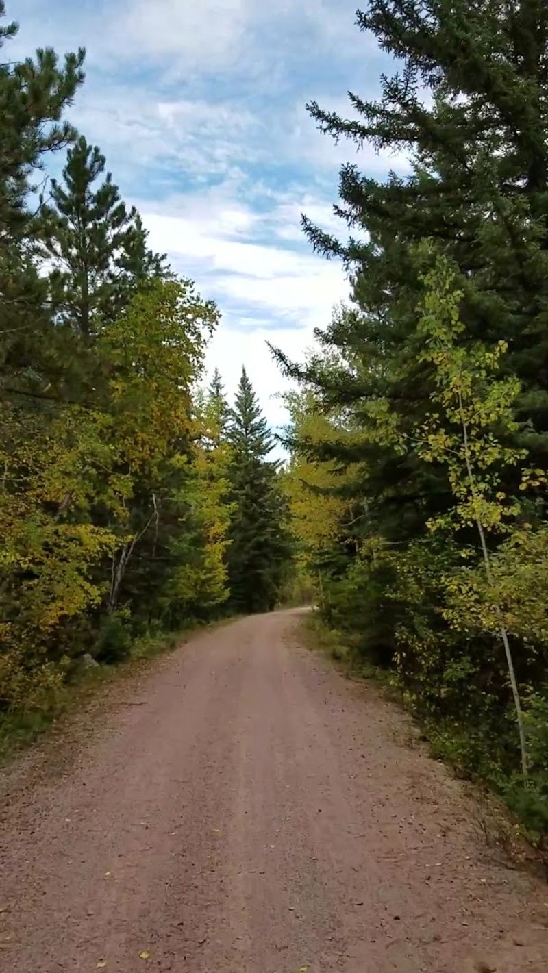 Pathways Through The Wilderness