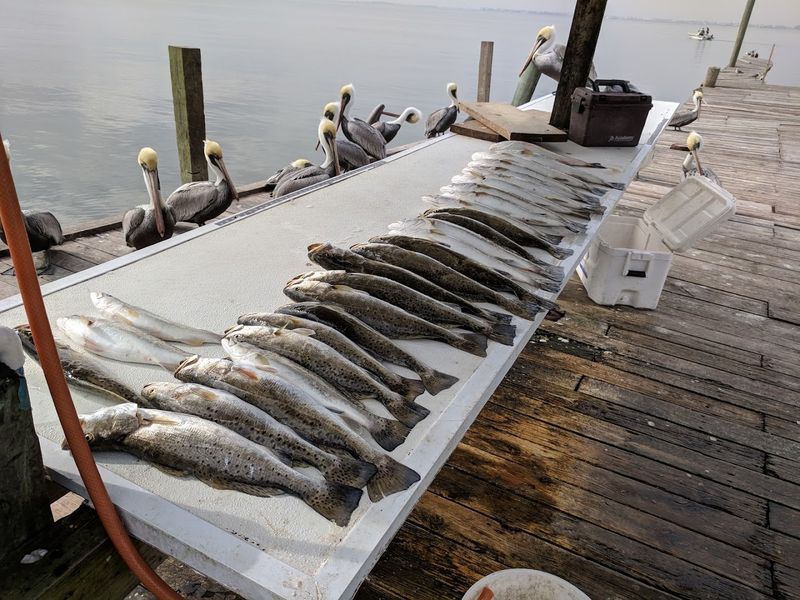 Galveston Bait & Tackle