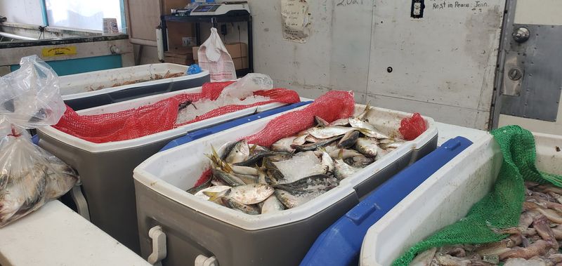 Aunt Margie's Bait And Seafood 