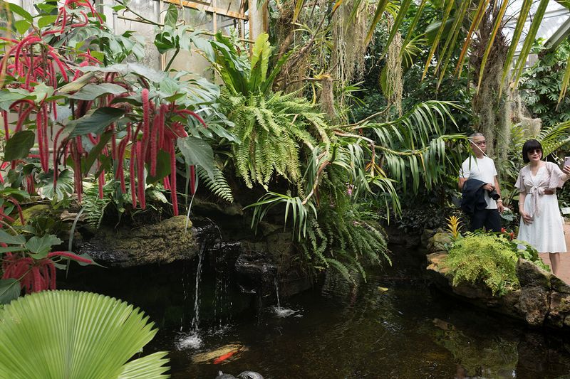 Sherman Library and Gardens, Corona del Mar