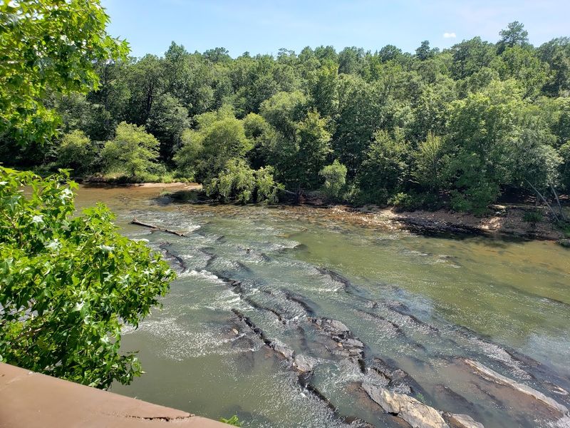 Sprewell Bluff Wildlife Management Area