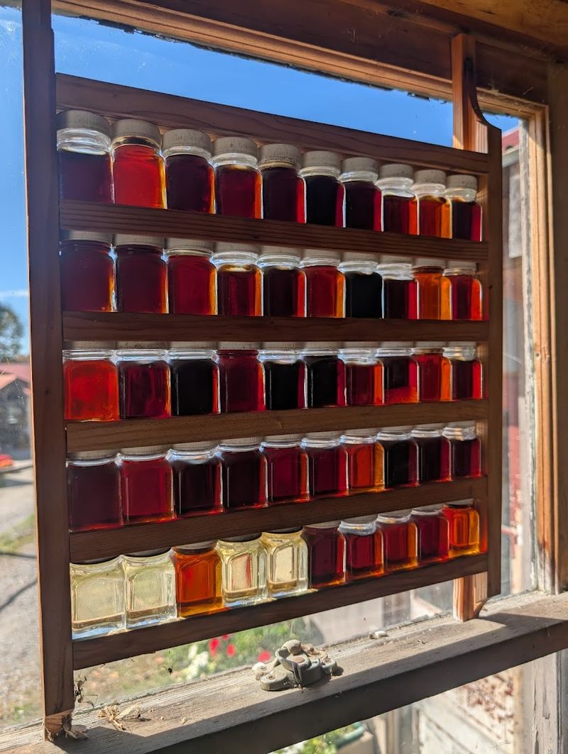 A Maple Syrup Tasting Worth Trying