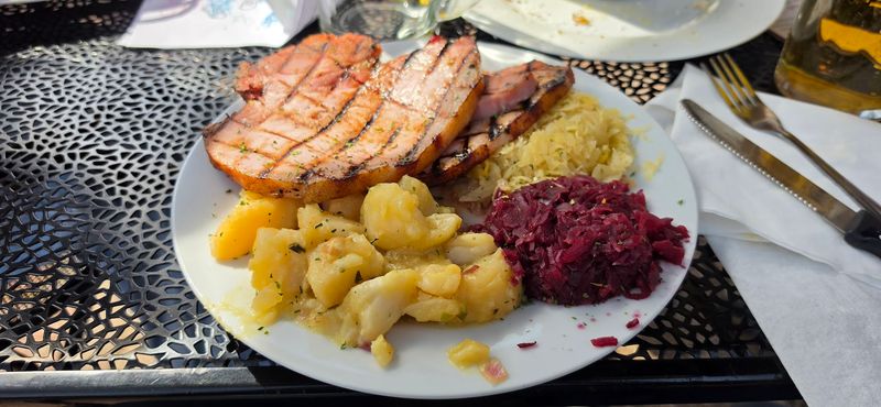 Pet-Friendly Patio That Welcomes Four-Legged Guests