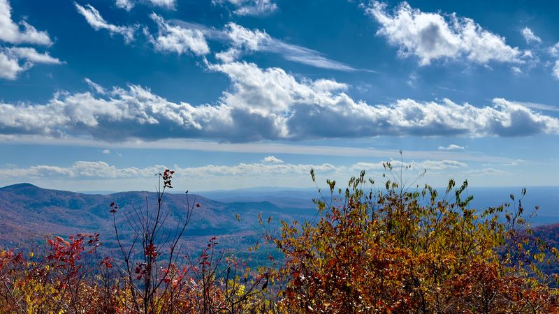 Scenic Overlooks With Jaw-Dropping Valley Views