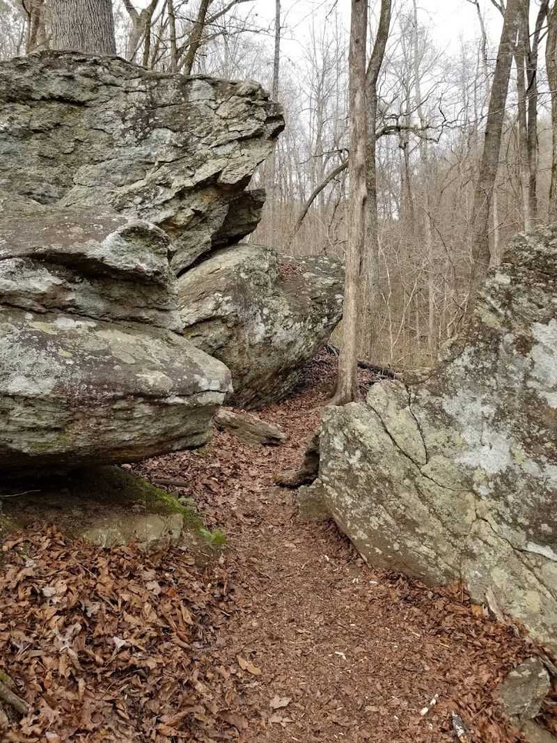 Miniature Golf for Lighthearted Family Fun