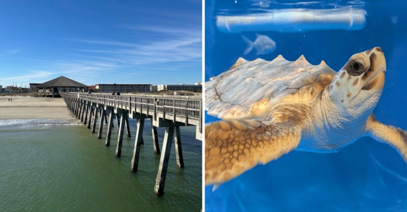 Georgia Has An Island With A Gorgeous Beach And Sunsets That People Drive Hours To See