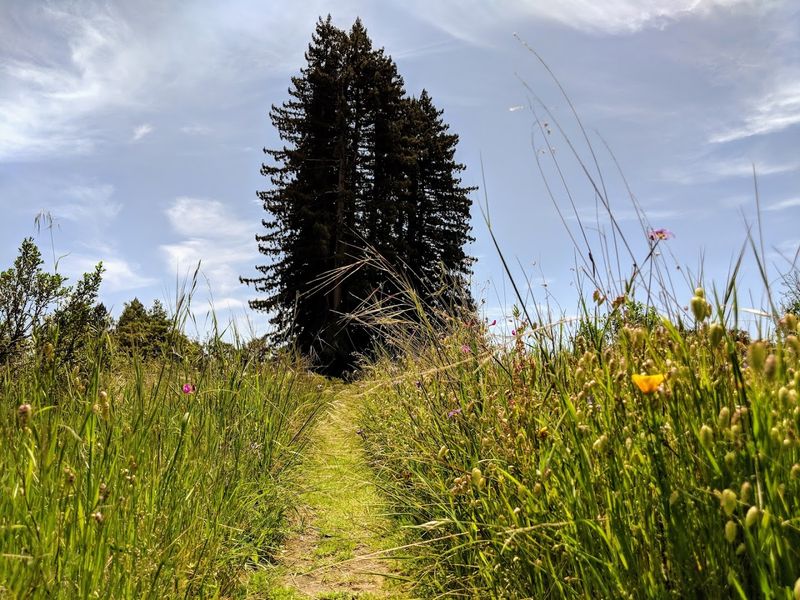 The Terrain Shifts Dramatically Across Different Sections Of The Park
