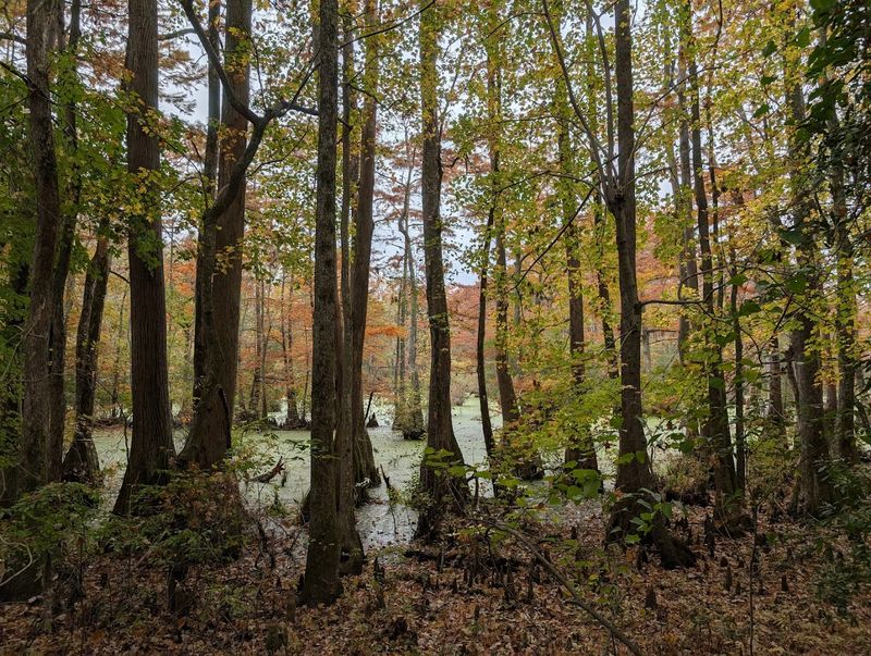 This Hidden North Carolina State Park Feels Like One Of The State’s Best-Kept Secrets - Decor Hint Open And Ready