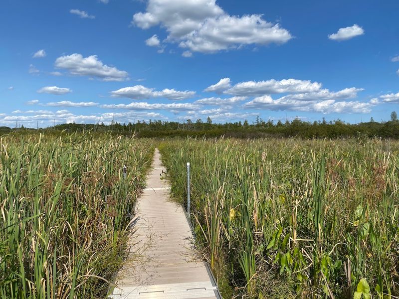 Volo Bog State Natural Area