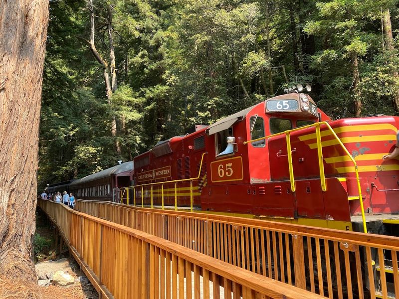 The Skunk Train: Redwoods, Trestles, and a Different Kind of Adventure