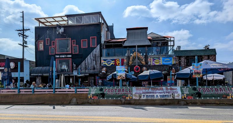 Four-Legged Visitors Get Their Own Welcome