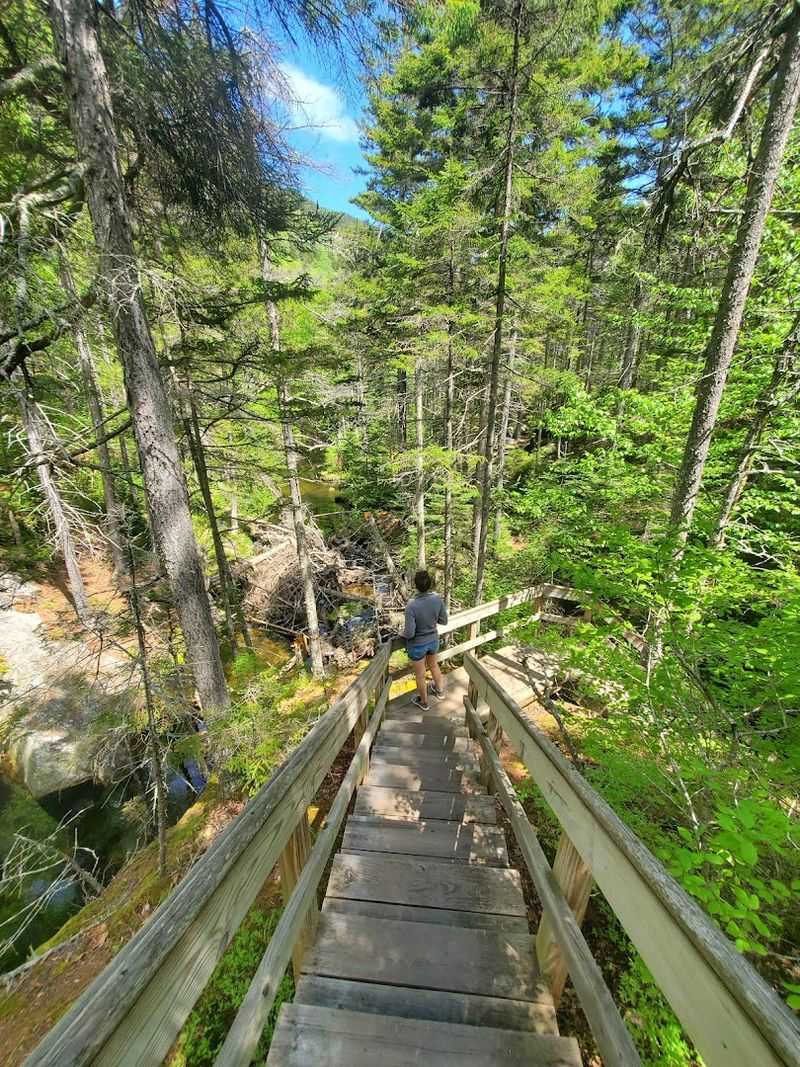 Essential Maps And Hiking Prep