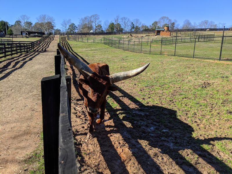 A nice option in cooler weather