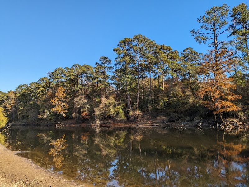 Cliffs Of The Neuse State Park